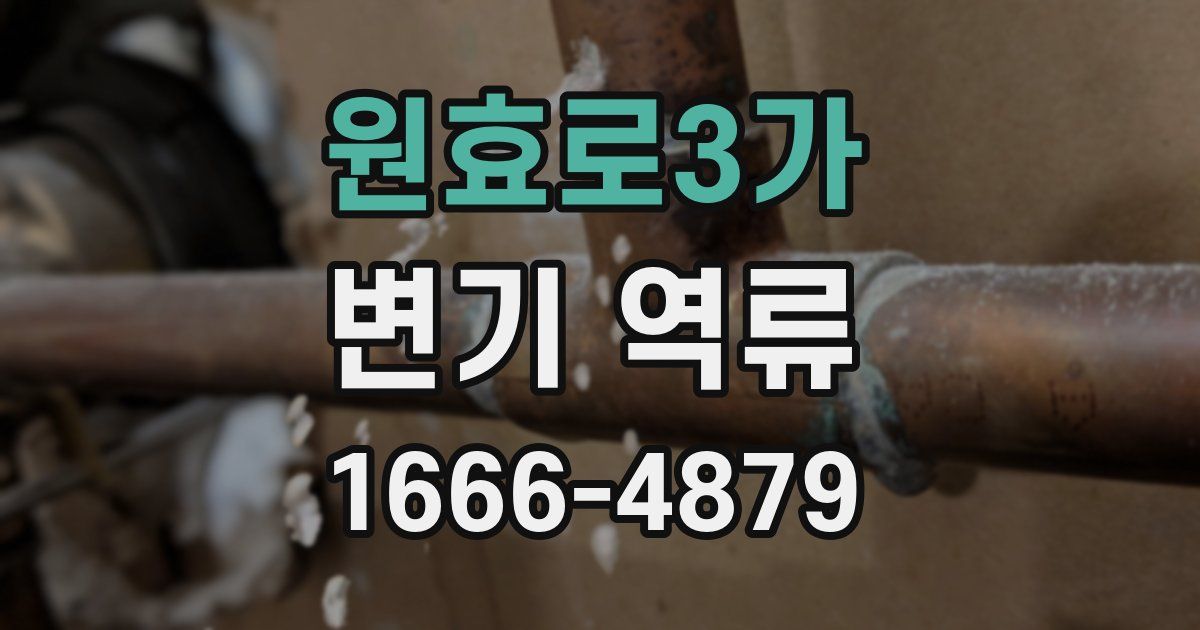 원효로3가 변기 역류