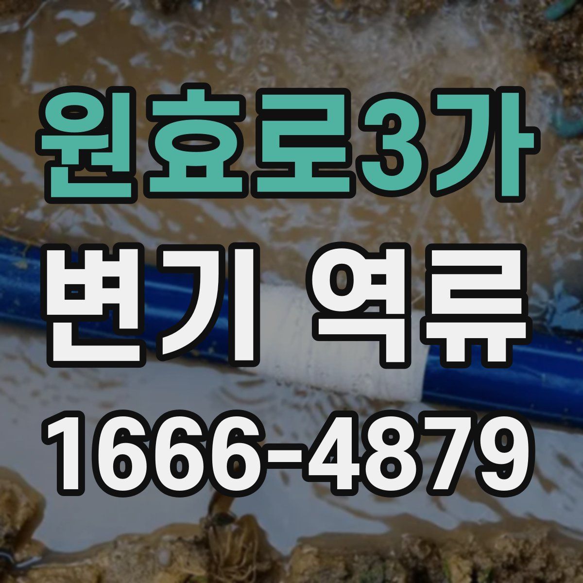 원효로3가 변기 역류