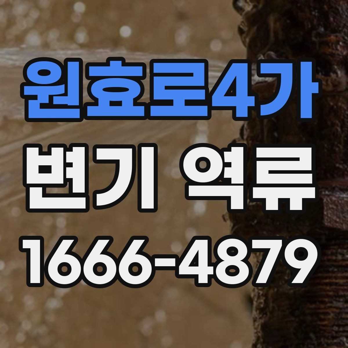 원효로4가 변기 역류 냄새와 물넘침이 함께 올 때