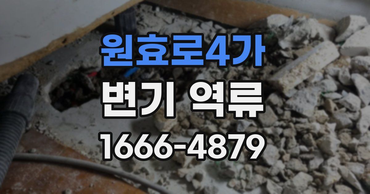 원효로4가 변기 역류