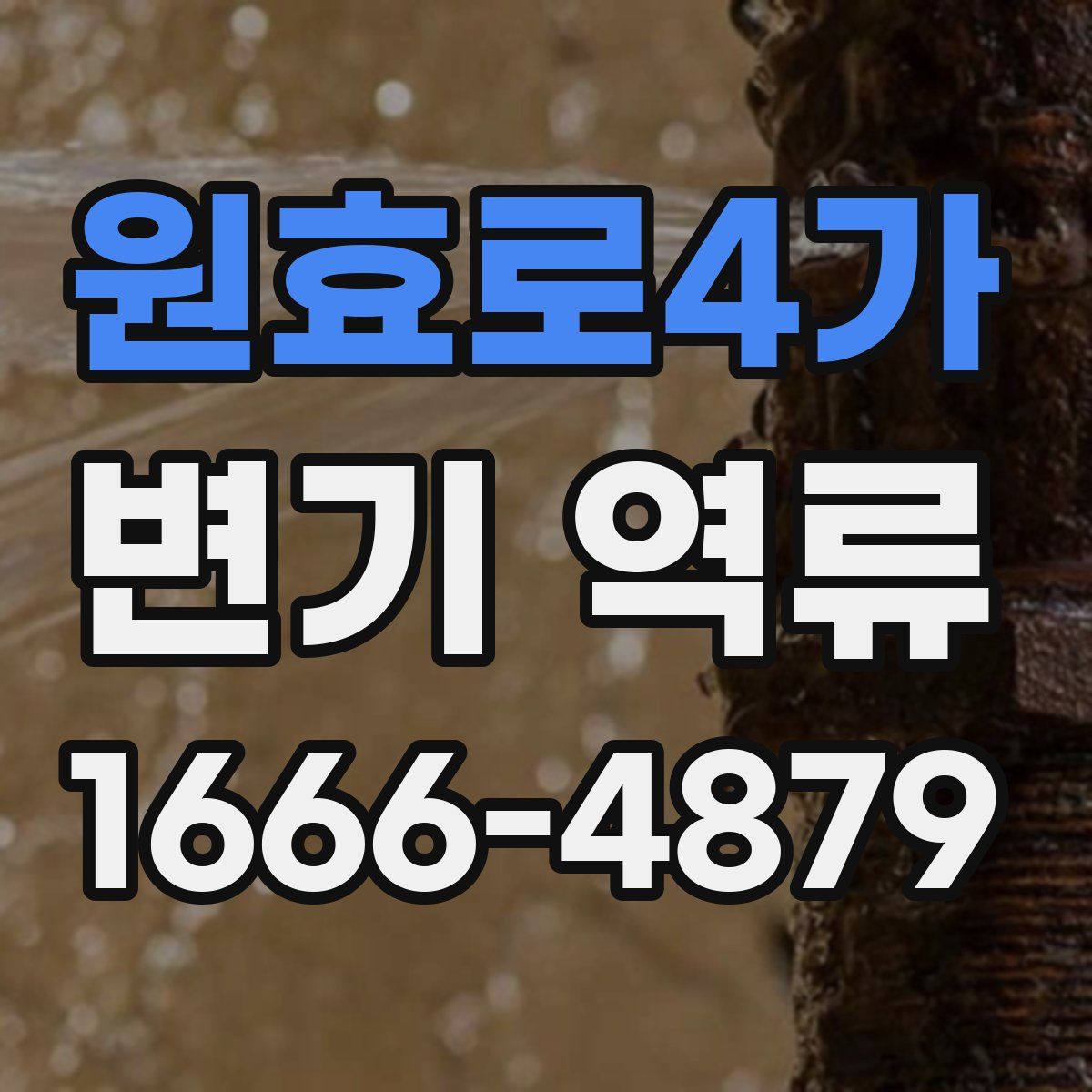 원효로4가 변기 역류
