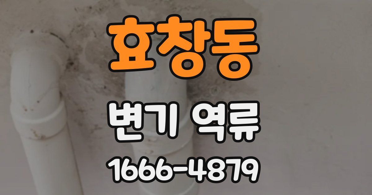 효창동 변기 역류