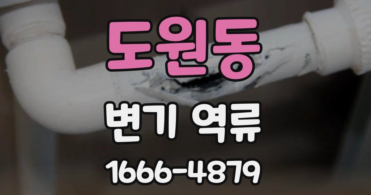 도원동 변기 역류