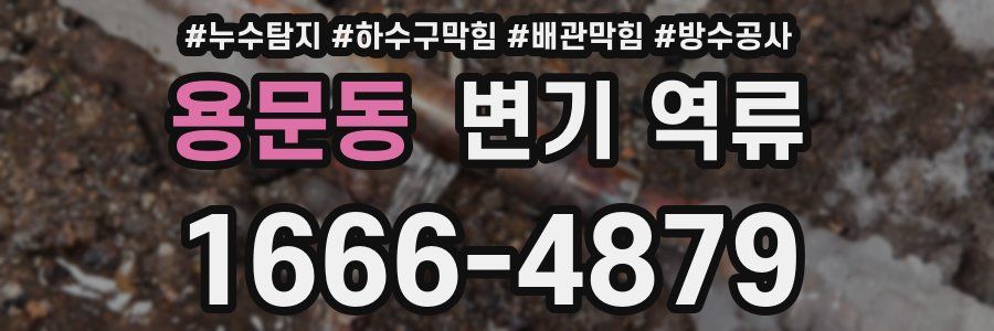 용문동 변기 역류
