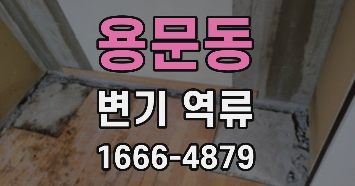 용문동 변기 역류