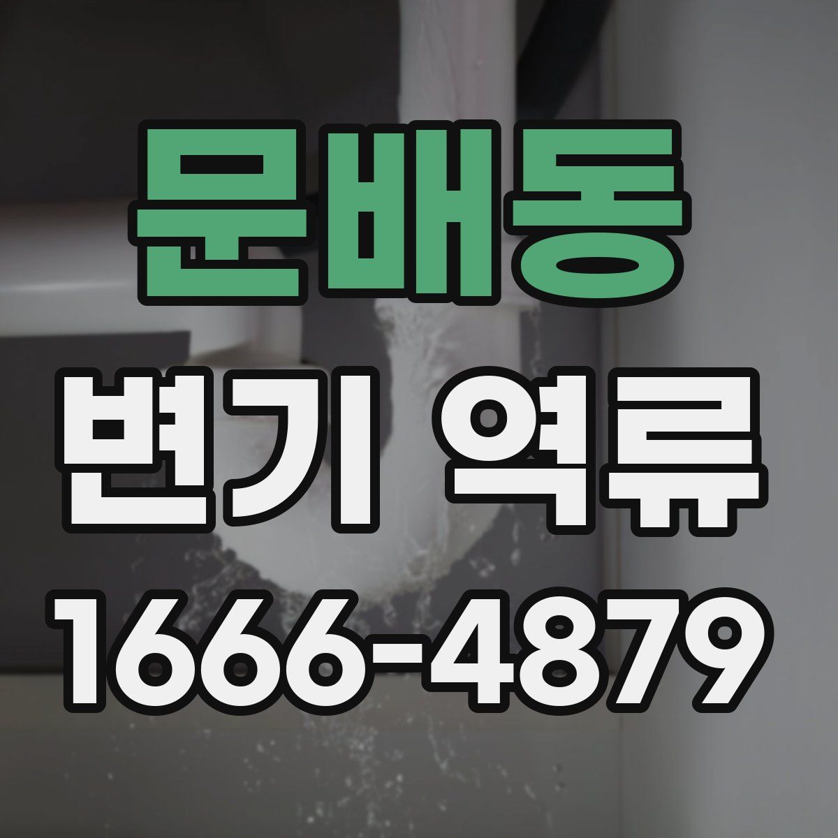 문배동 변기 역류