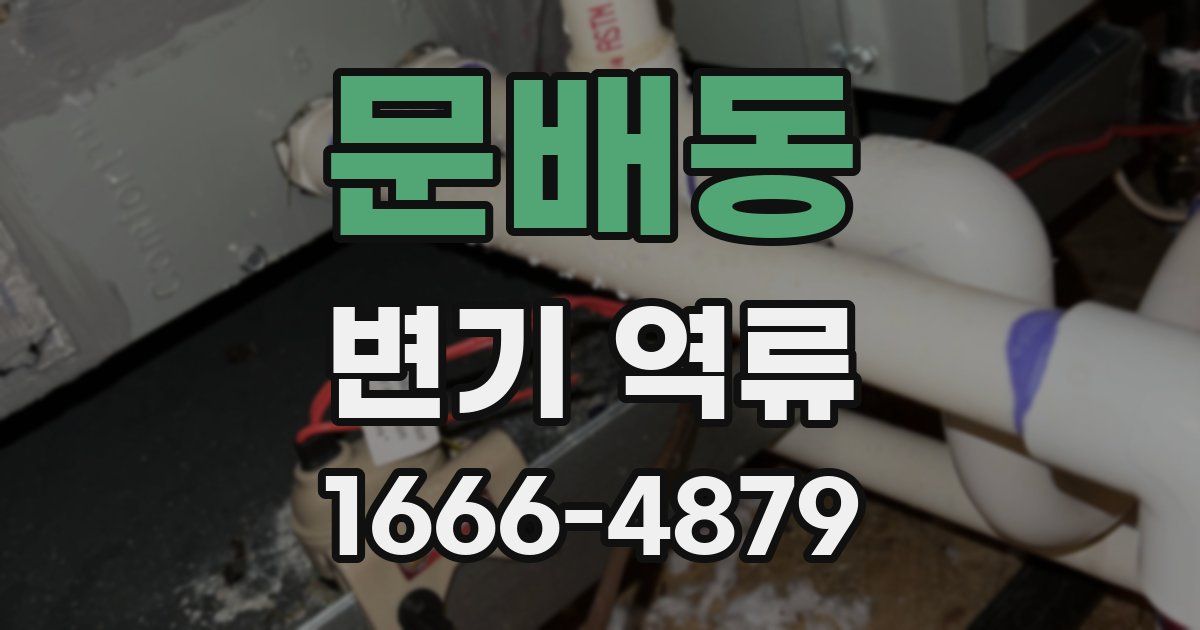 문배동 변기 역류