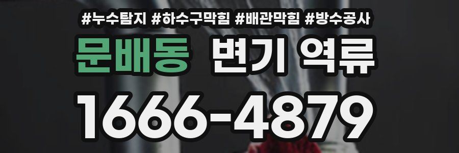 문배동 변기 역류