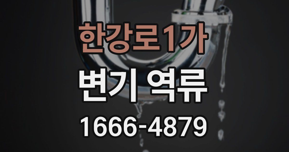한강로1가 변기 역류