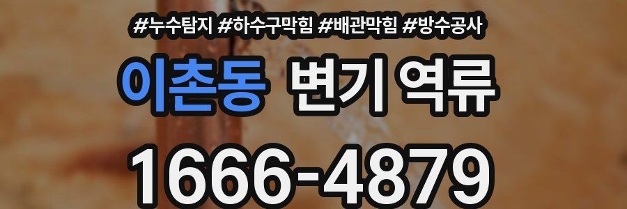 이촌동 변기 역류