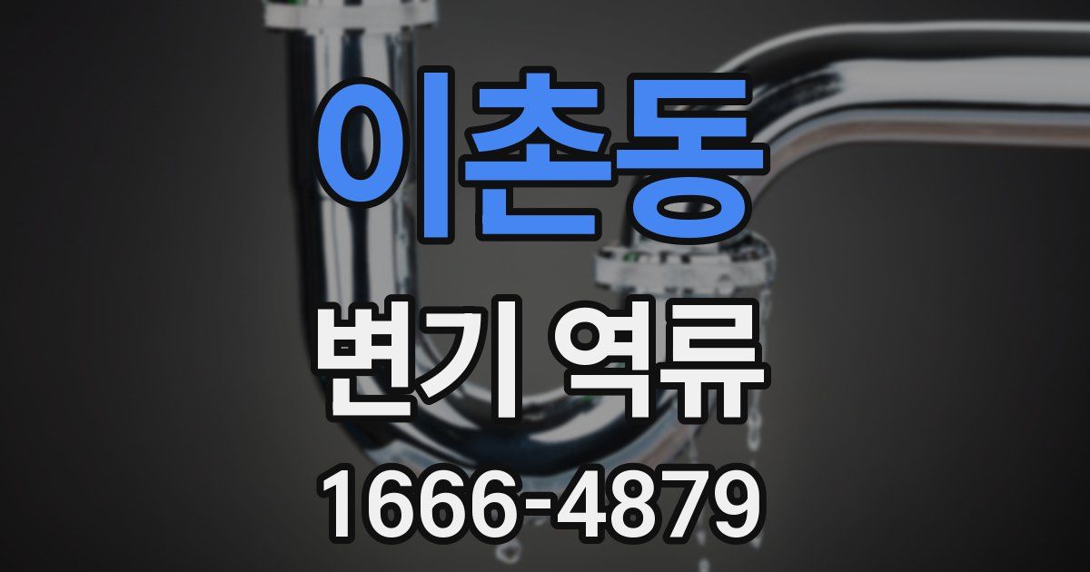 이촌동 변기 역류