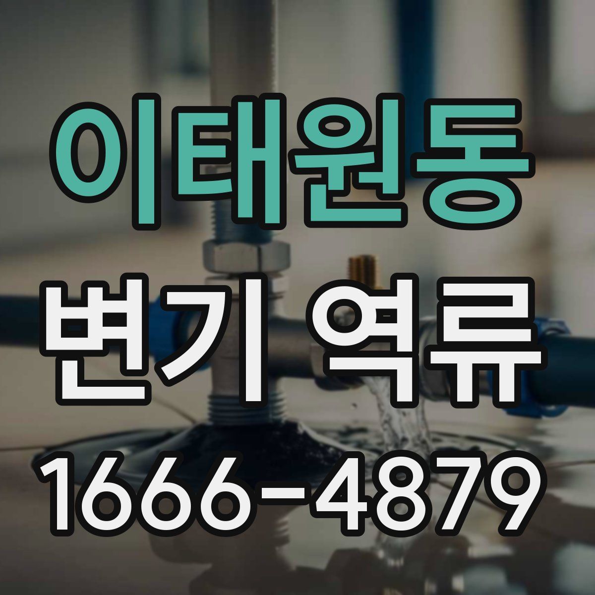 이태원동 변기 역류