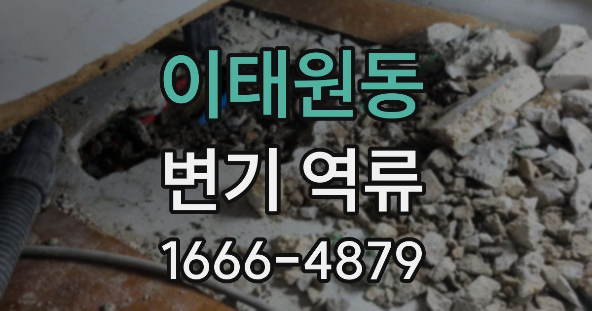 이태원동 변기 역류