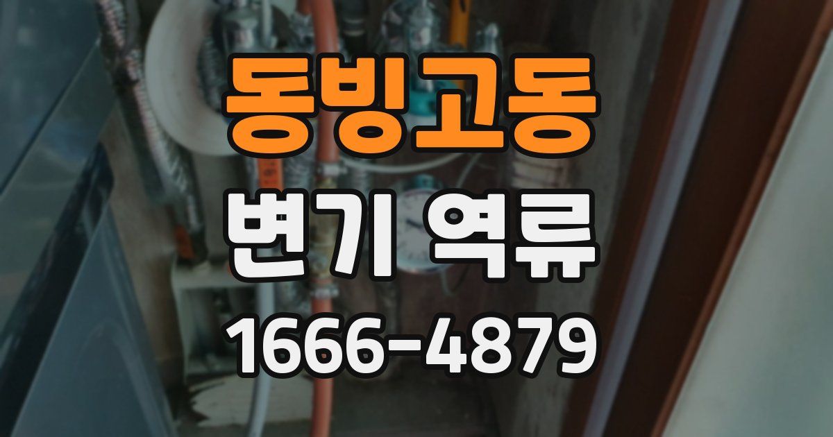 동빙고동 변기 역류