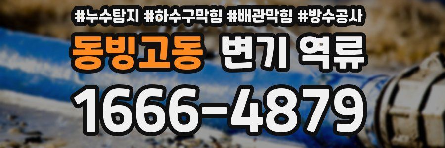 동빙고동 변기 역류