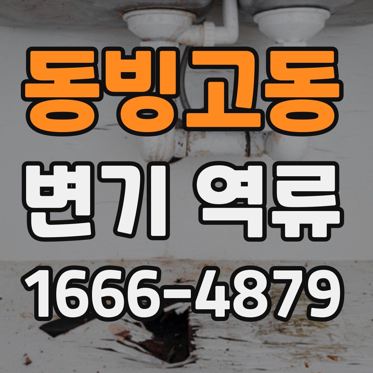 동빙고동 변기 역류
