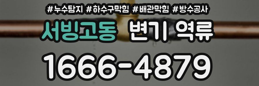 서빙고동 변기 역류