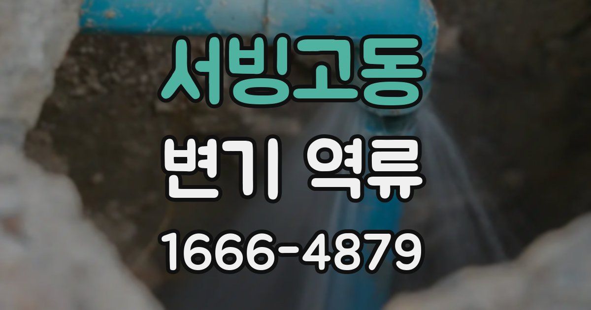 서빙고동 변기 역류