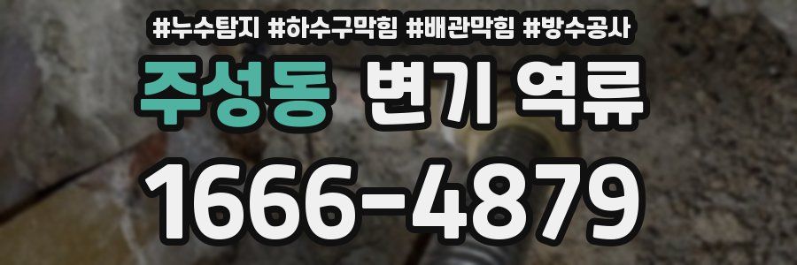 주성동 변기 역류