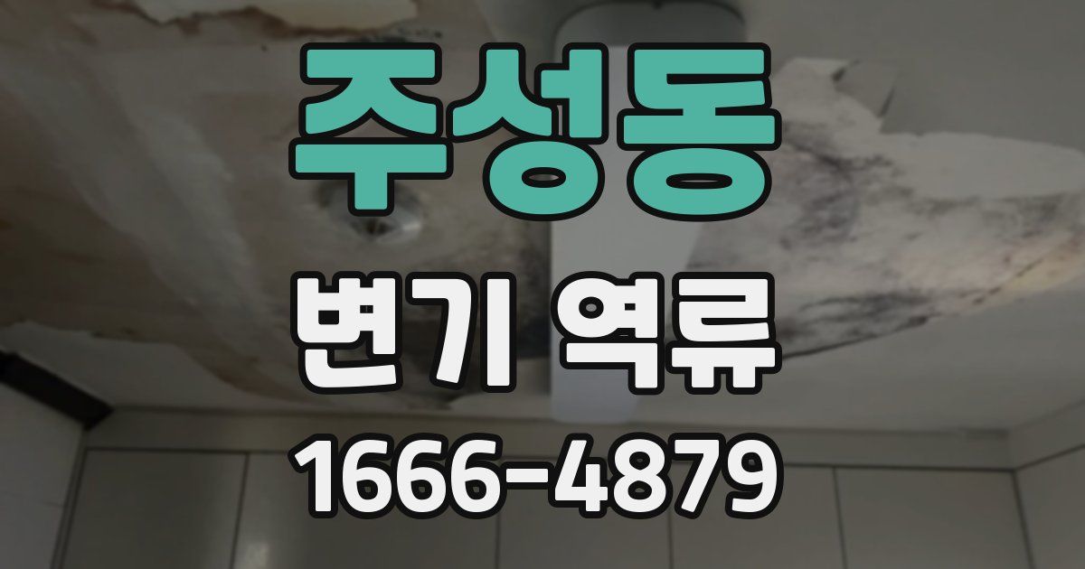 주성동 변기 역류