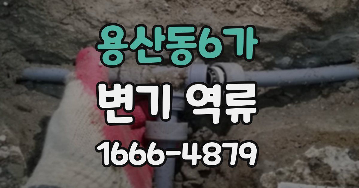 용산동6가 변기 역류
