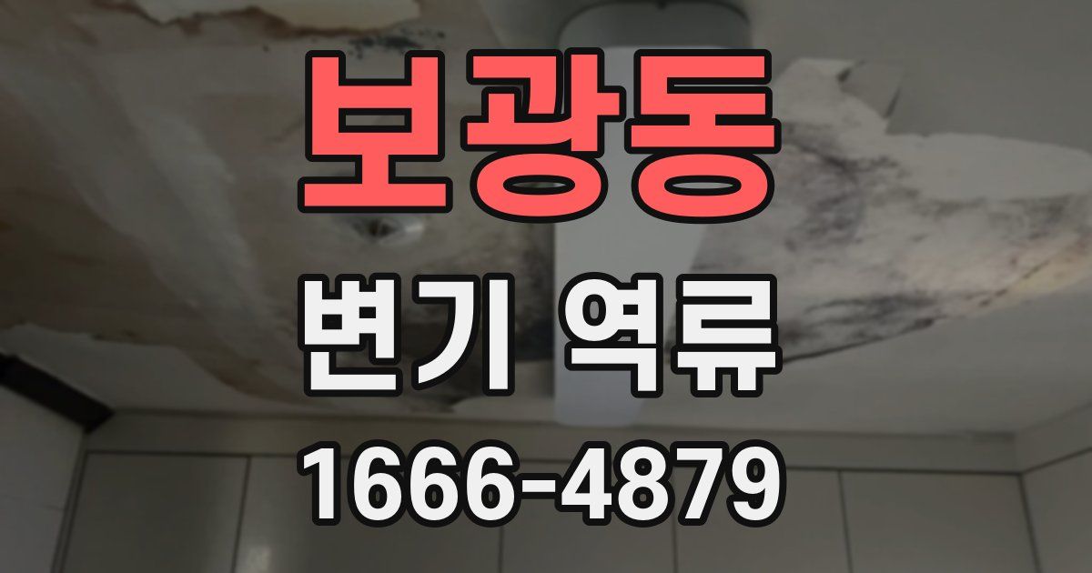 보광동 변기 역류