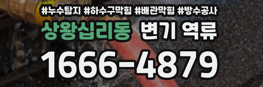 상왕십리동 변기 역류