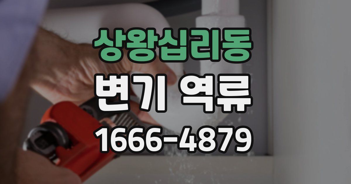 상왕십리동 변기 역류