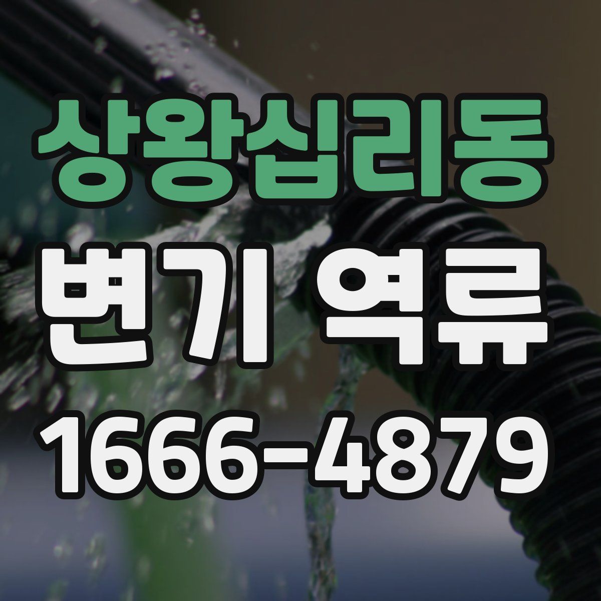 상왕십리동 변기 역류