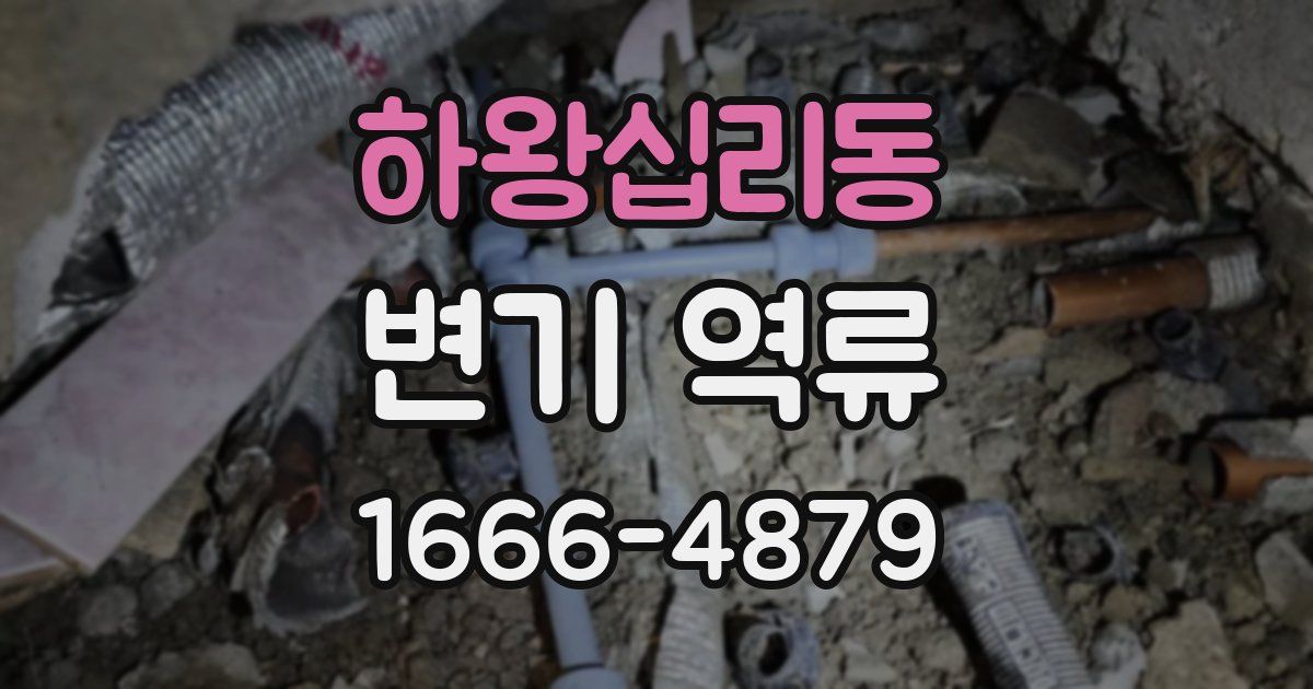 하왕십리동 변기 역류