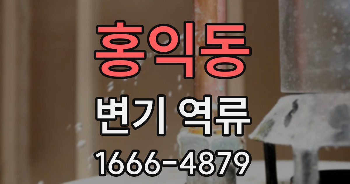홍익동 변기 역류