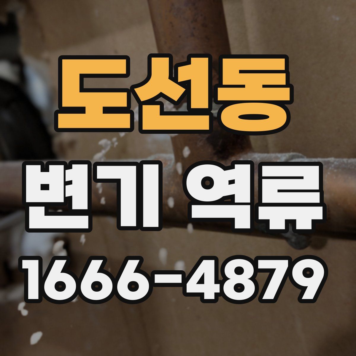 도선동 변기 역류