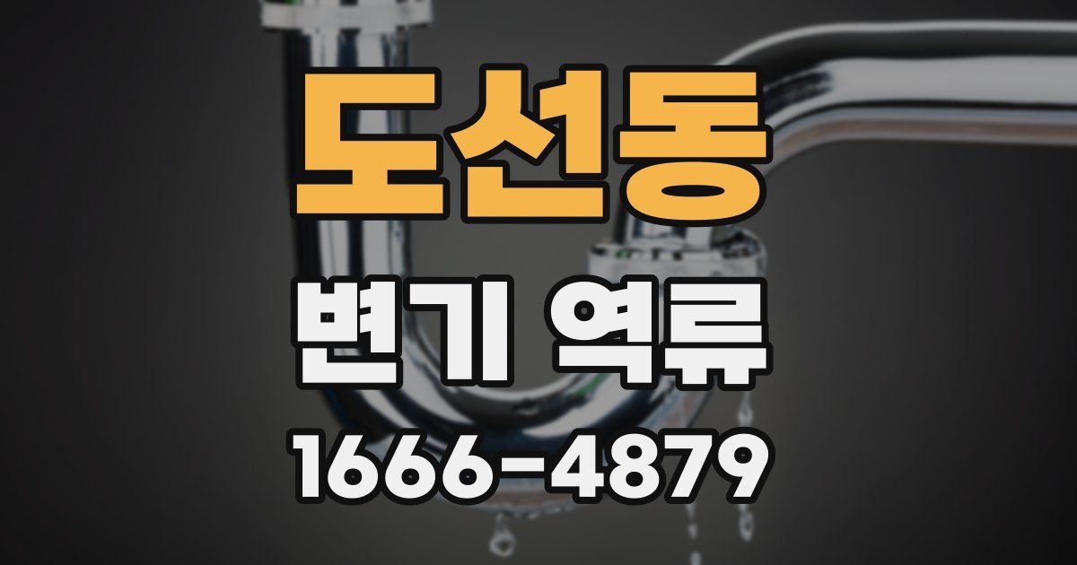 도선동 변기 역류