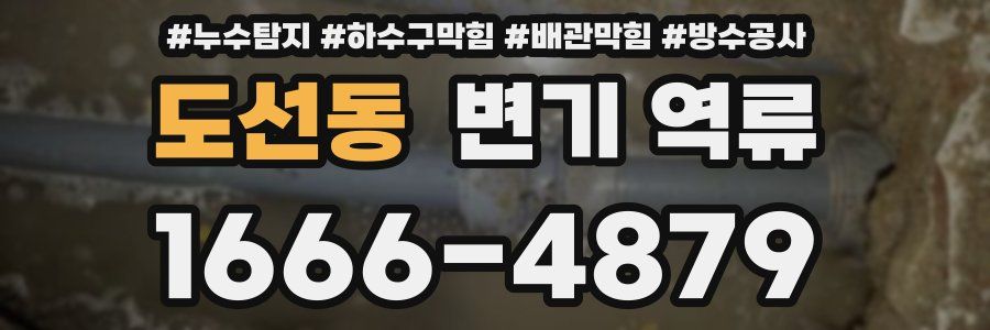 도선동 변기 역류