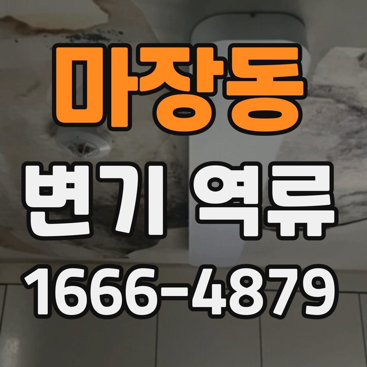 마장동 변기 역류