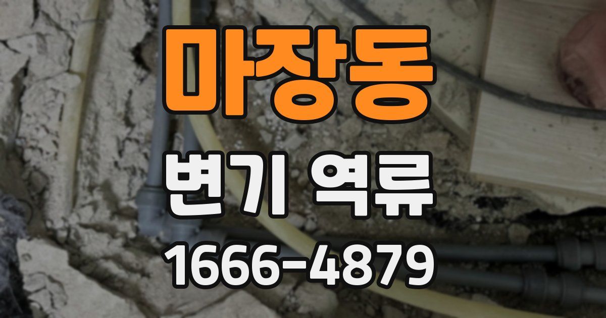 마장동 변기 역류