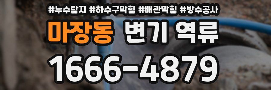 마장동 변기 역류