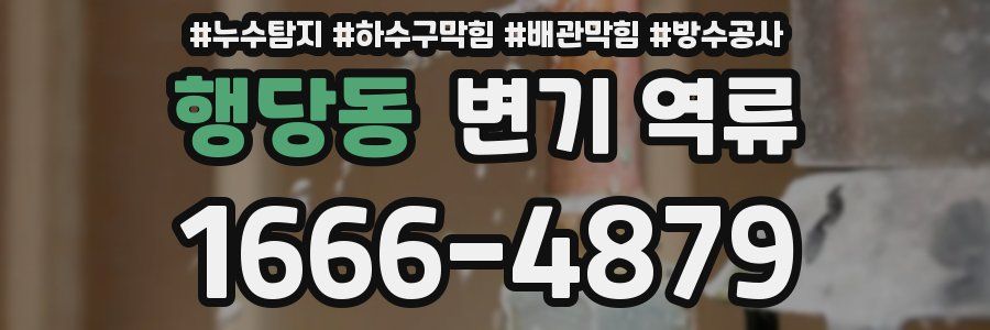 행당동 변기 역류