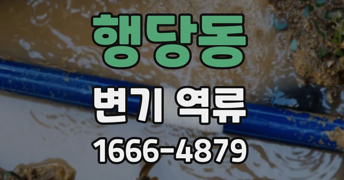 행당동 변기 역류