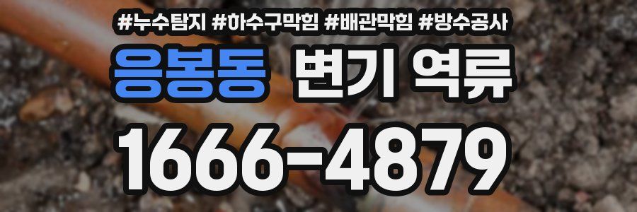 응봉동 변기 역류
