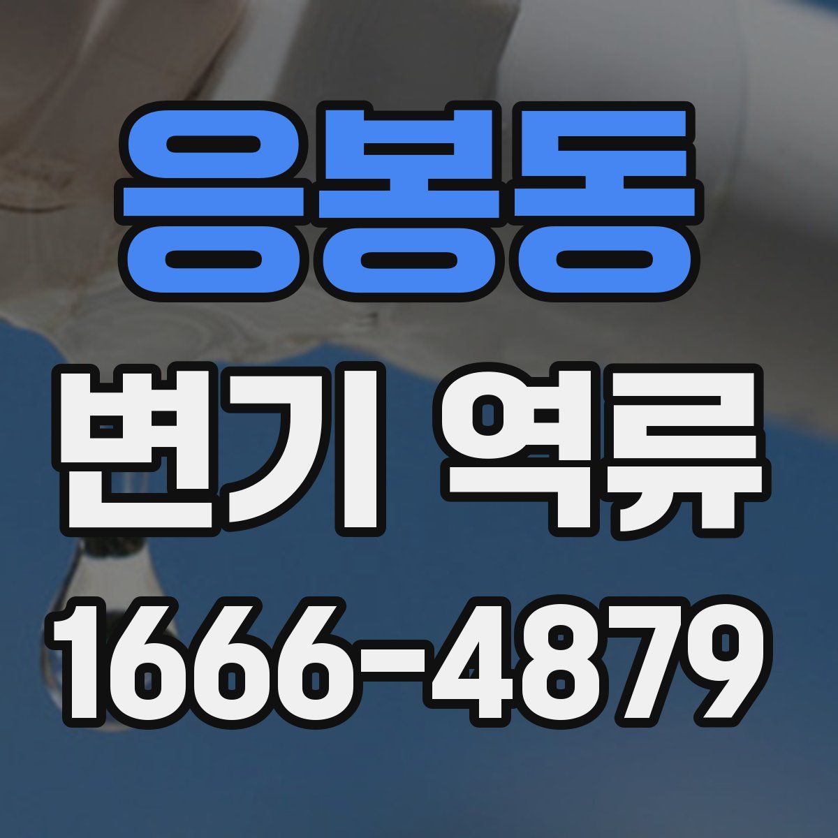 응봉동 변기 역류