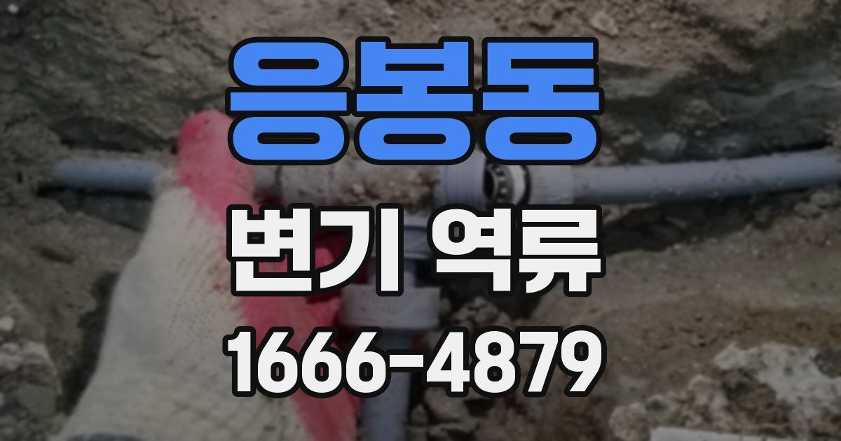 응봉동 변기 역류