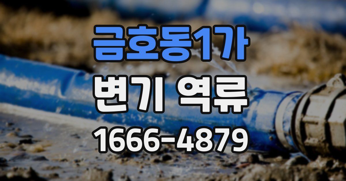 금호동1가 변기 역류