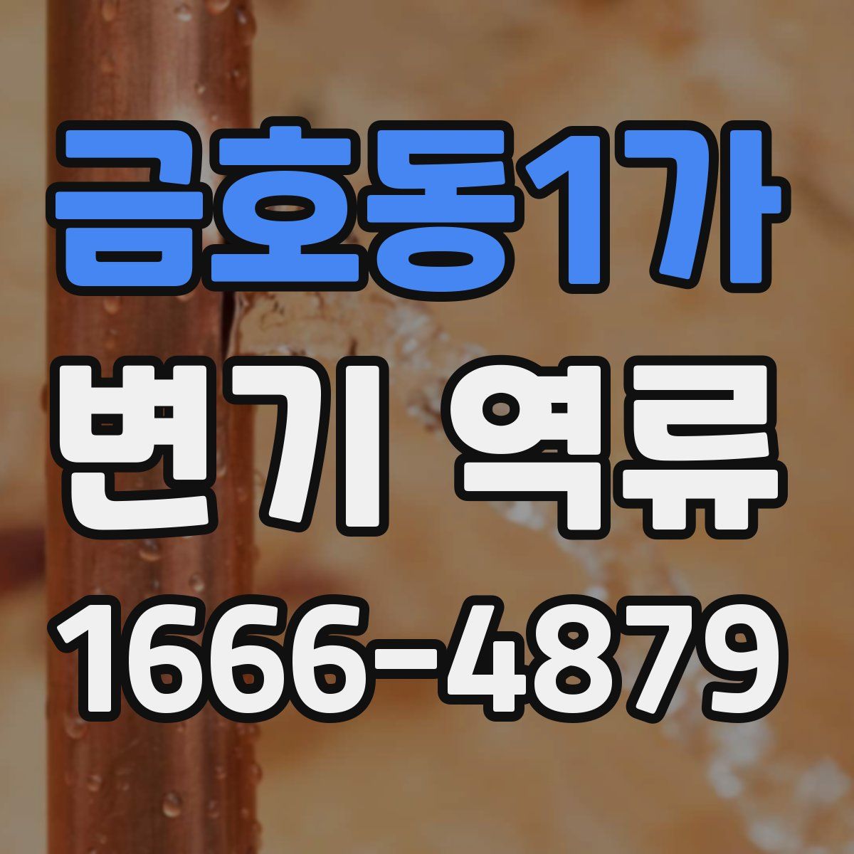 금호동1가 변기 역류