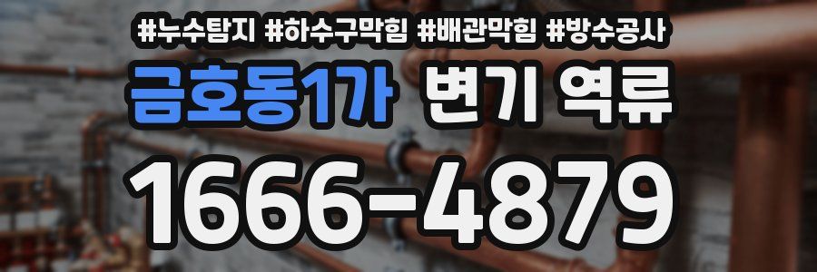 금호동1가 변기 역류