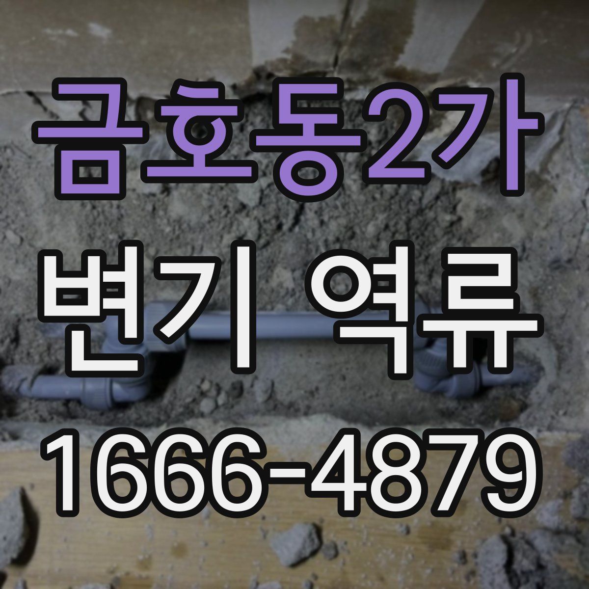 금호동2가 변기 역류