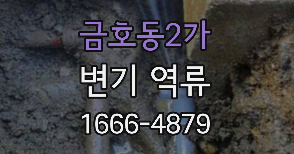 금호동2가 변기 역류