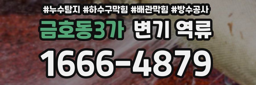 금호동3가 변기 역류