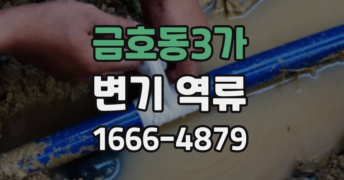 금호동3가 변기 역류