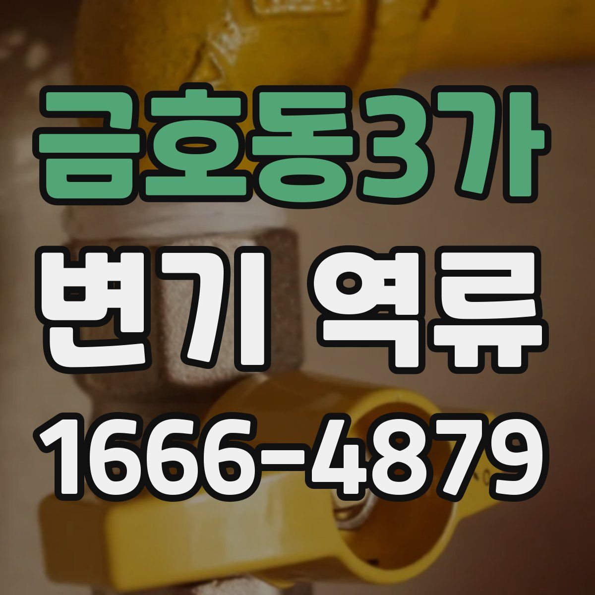 금호동3가 변기 역류